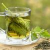 Najlepsze herbaty i zioła wspomagające odchudzanie