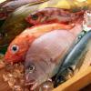 Ryby morskie czy słodkowodne, które zdrowsze?