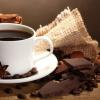 Działanie oraz wpływ kofeiny na organizm i zdrowie