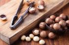 Orzechy makadamia - kalorie, wartości odżywcze i ciekawostki